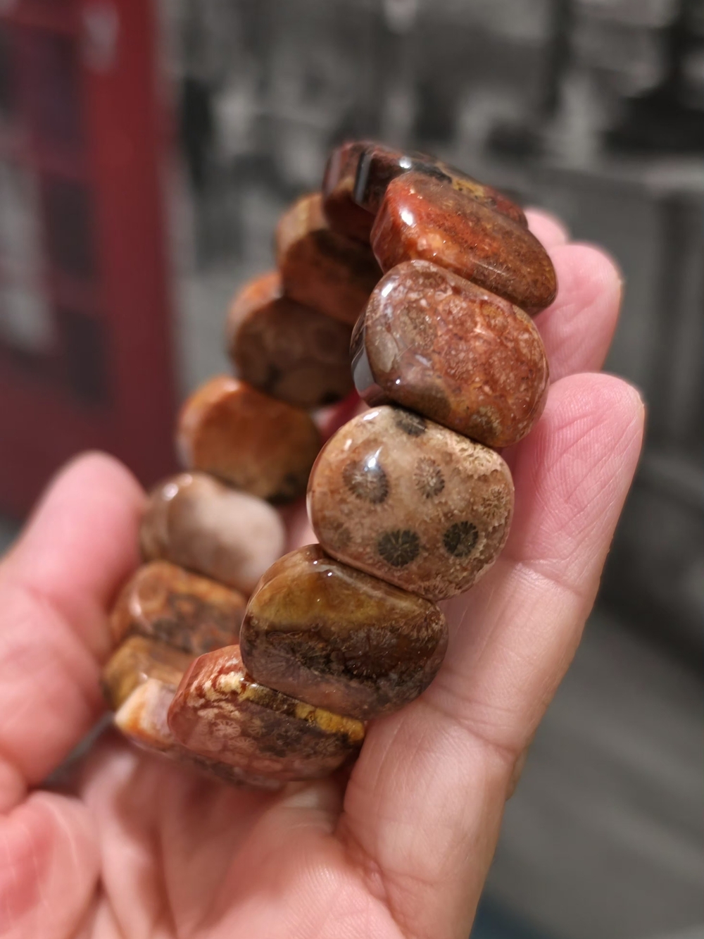 Fossil Coral Gemstone Bracelet | Natural Stone